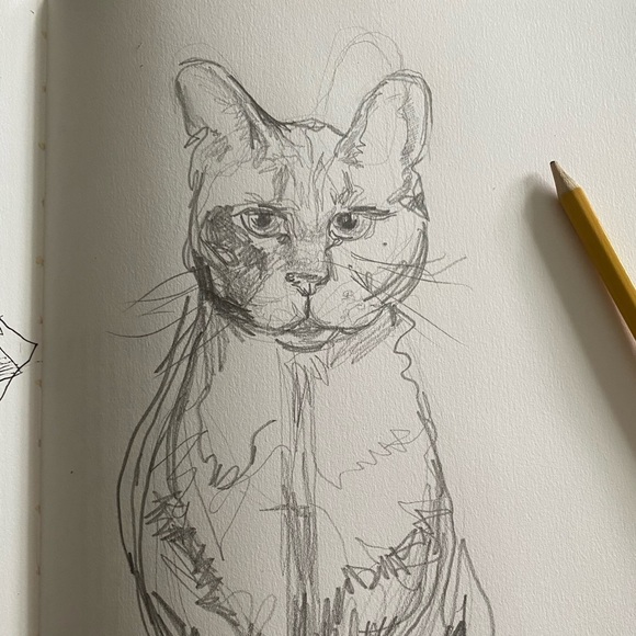 Meet your Posher, Ruby - Picture 1 of 1